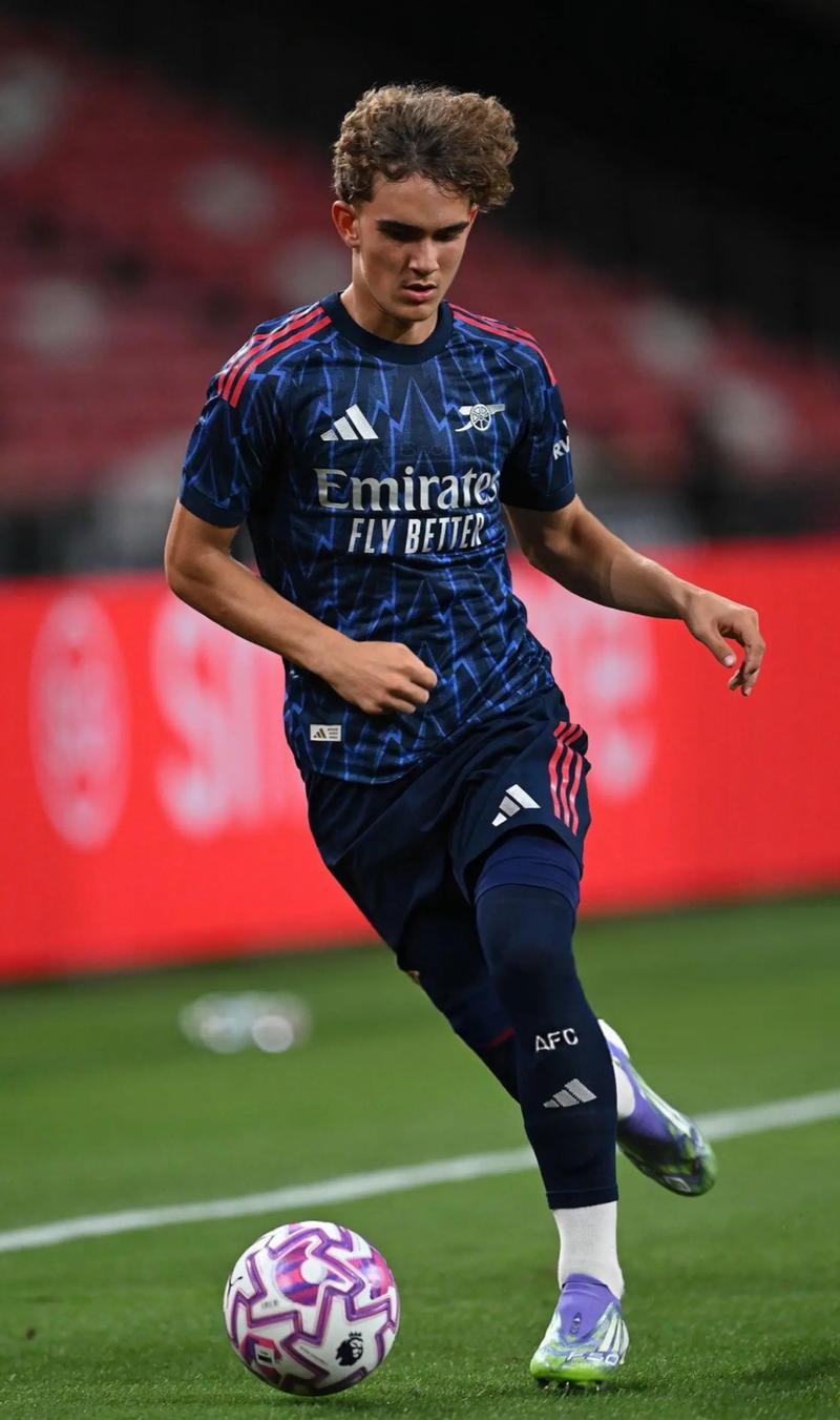 萨索洛前锋皮纳蒙蒂比赛时家中失窃，事发时孩子和保姆在家里